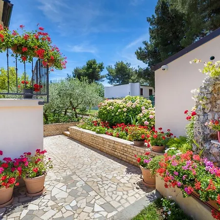 Hortensia Apartmán *