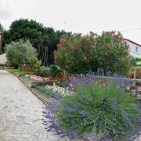 Hortensia Pola