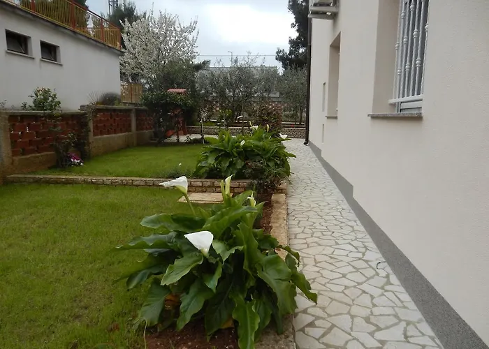 Hortensia Pula