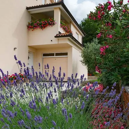 Apartamento Hortensia