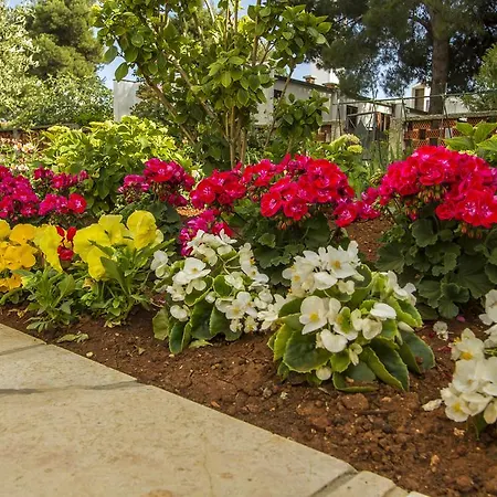 Apartman Hortensia Pula