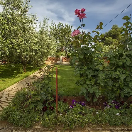 Apartamento Hortensia
