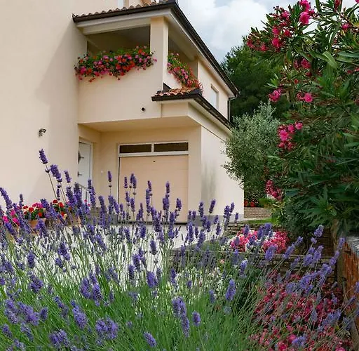 Apartament Hortensia