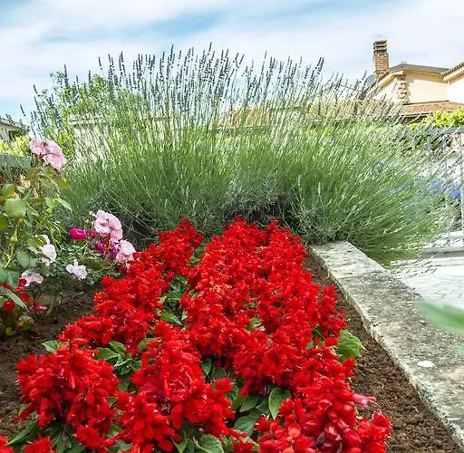 Apartament Hortensia Pula