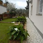 Hortensia פולה