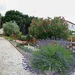 Hortensia פולה