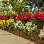 דירה Hortensia פולה