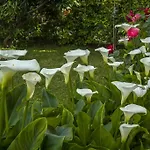 Hortensia דירה