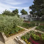 Hortensia * פולה