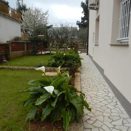 Hortensia Pula