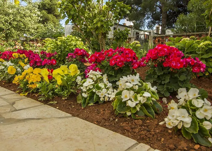 Apartamento Hortensia Pula