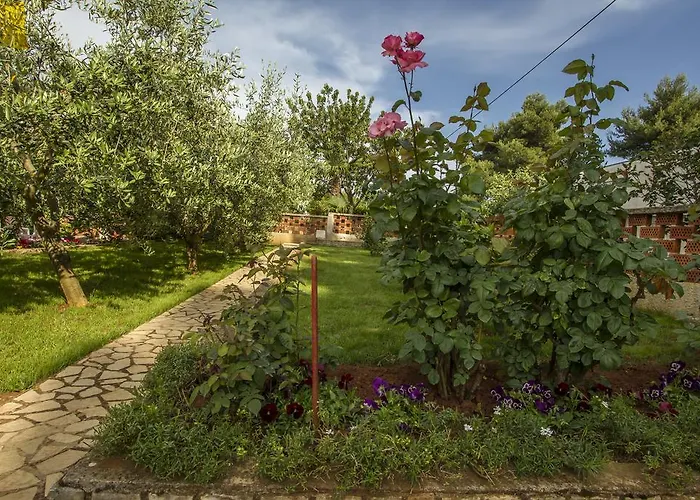 Apartamento Hortensia